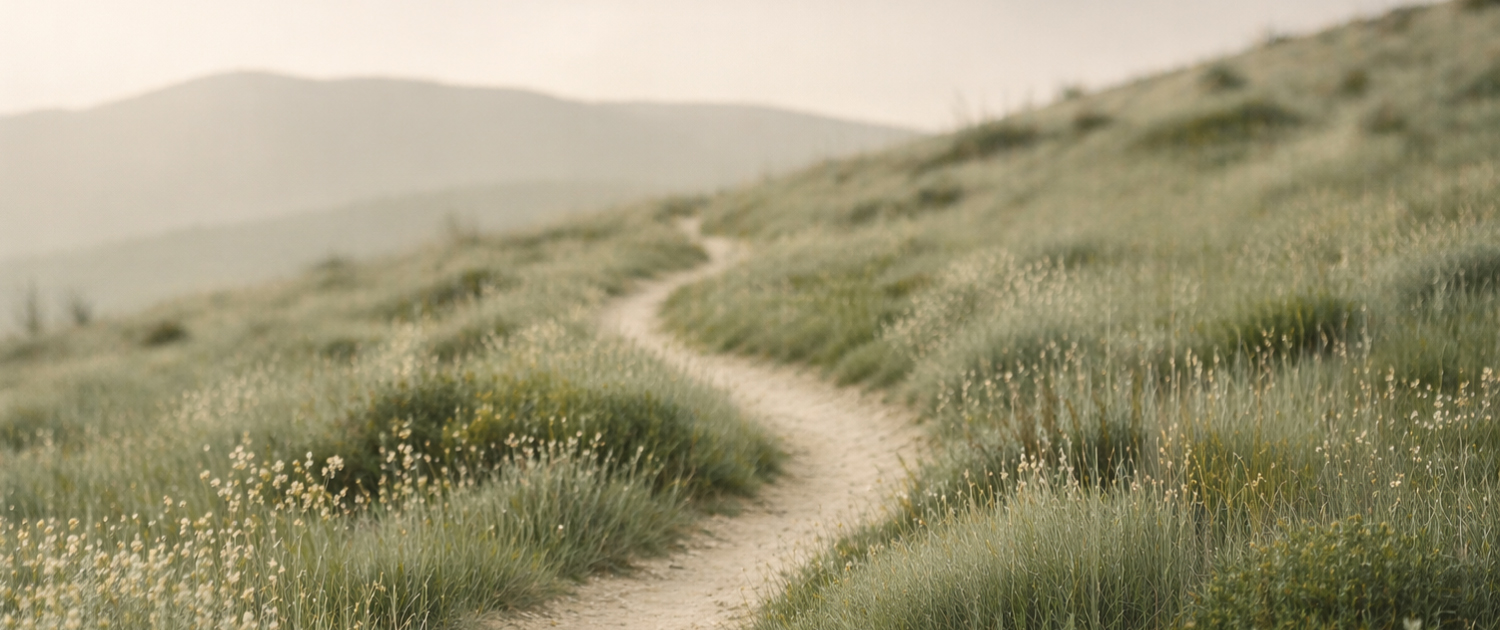 slider_home_3